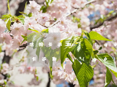 信用卡逾期幾個(gè)月是否被拉黑 信用卡逾期幾個(gè)月是否被拉黑怎么查