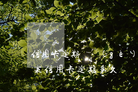 信用卡逾期幾個(gè)月會(huì)立案(信用卡逾期多久)