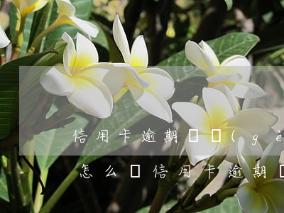 信用卡逾期幾個(gè)月沒(méi)還怎么辦 信用卡逾期幾個(gè)月沒(méi)還怎么辦了