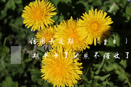 信用卡逾期幾個(gè)月沒催收(信用卡逾期半年了突然不催收了)