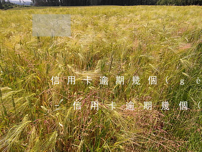 信用卡逾期幾個(gè)月沒接電話怎么辦-信用卡逾期幾個(gè)月沒接電話怎么辦理