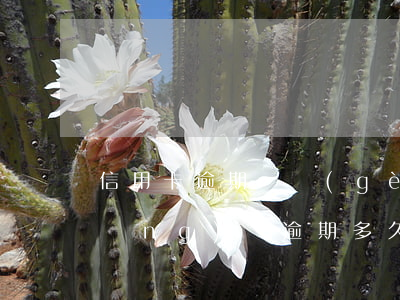 信用卡逾期幾個(gè)月為詐騙罪 網(wǎng)貸逾期多久構(gòu)成詐騙