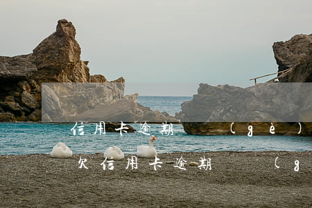 信用卡逾期幾個(gè)月發(fā)傳票 欠信用卡逾期幾個(gè)月會(huì)立案