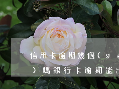信用卡逾期幾個(gè)月能出國(guó)嗎(銀行卡逾期能出國(guó)嗎)