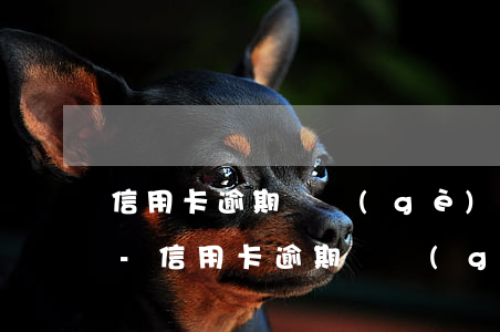 信用卡逾期幾個(gè)月還不起了怎么辦-信用卡逾期幾個(gè)月還不起了怎么辦呢