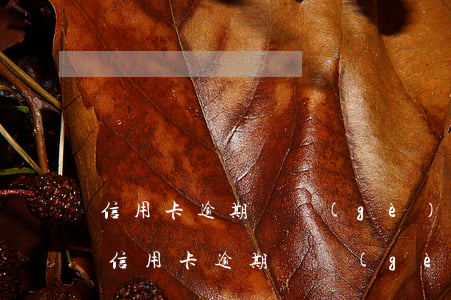 信用卡逾期幾個(gè)月還了不能用了-信用卡逾期幾個(gè)月還了不能用了怎么辦