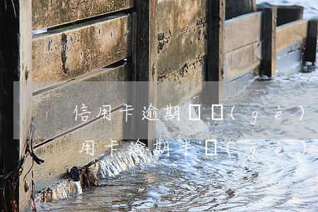 信用卡逾期幾個(gè)月還了還能用嗎（信用卡逾期半個(gè)月還）