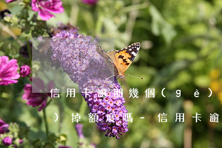 信用卡逾期幾個(gè)月還款會(huì)掉額度嗎-信用卡逾期幾個(gè)月還款會(huì)掉額度嗎知乎