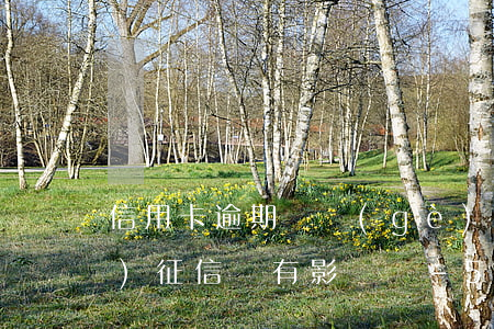 信用卡逾期幾個(gè)月還清對(duì)征信還有影響嗎-5月1日起取消征信逾期記錄