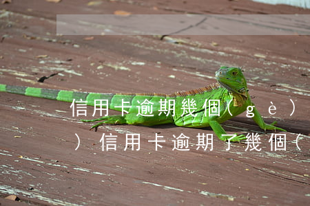 信用卡逾期幾個(gè)月還錢(qián)(信用卡逾期了幾個(gè)月還清了之后還可以用嗎)