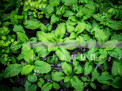 信用卡逾期幾個(gè)行會(huì)一起