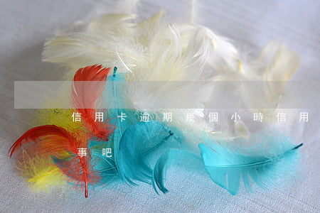 信用卡逾期幾個小時(信用卡逾期幾個小時沒事吧)