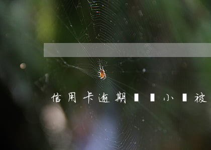 信用卡逾期幾個小時被扣錢了