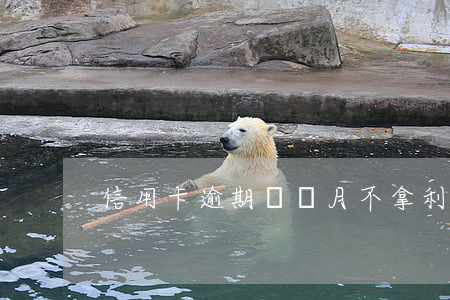 信用卡逾期幾個月不拿利息