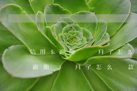 信用卡逾期幾個月了怎么還款合適呢（信用卡逾期幾個月了怎么還款合適）