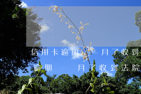 信用卡逾期幾個月了收到法院傳票-信用卡逾期幾個月了收到法院傳票怎么辦