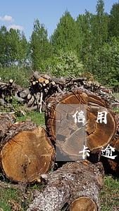 信用卡逾期幾個月卡被凍結(jié) 信用卡逾期幾個月卡被凍結(jié)怎么辦