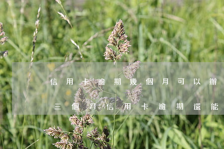 信用卡逾期幾個月可以辦房貸(連續(xù)三個月信用卡逾期還能做房貸嗎)