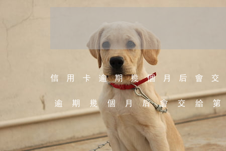 信用卡逾期幾個月后會交給第三方-信用卡逾期幾個月后會交給第三方嗎