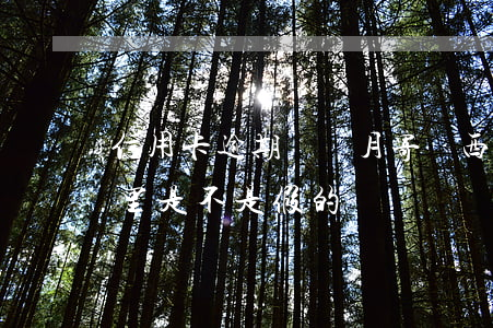信用卡逾期幾個月寄東西(信用卡逾期寄到家里 是不是假的)