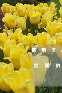 信用卡逾期幾個月征信黑名單(別人用微信綁定我的銀行卡)