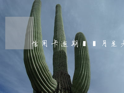 信用卡逾期幾個月是老賴(逾期多久成為老賴)