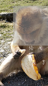 信用卡逾期幾個月會被告(我信用卡逾期幾個月了他們說要告我上法院)