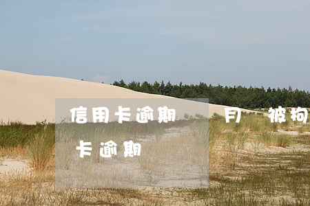 信用卡逾期幾個月會被拘留(被拘役期間信用卡逾期)