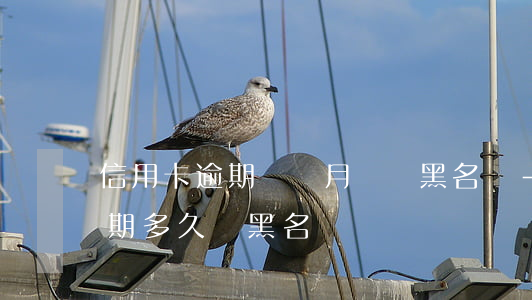 信用卡逾期幾個月會進黑名單-借信用卡逾期多久會黑名單