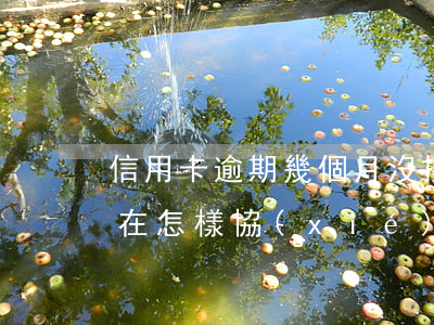 信用卡逾期幾個月沒接電話現(xiàn)在怎樣協(xié)商呢-欠信用卡好幾個月沒跟銀行聯(lián)系了怎么辦
