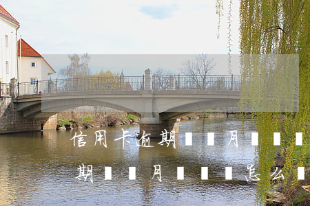 信用卡逾期幾個月沒錢還怎么辦-信用卡逾期幾個月沒錢還怎么辦呢