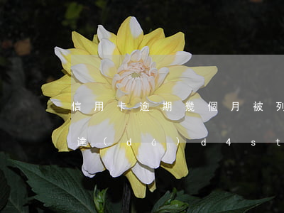 信用卡逾期幾個月被列入黑名單-豐田漢蘭達(dá)d4st全車下來多少?