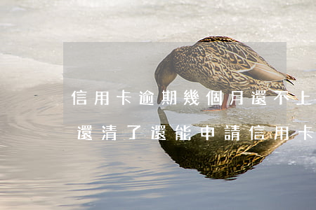 信用卡逾期幾個月還不上怎么辦-逾期半年還清了還能申請信用卡嗎