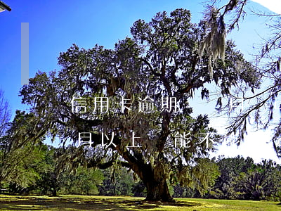 信用卡逾期幾個月還可以用嗎(信用逾期三個月以上還能不能用)