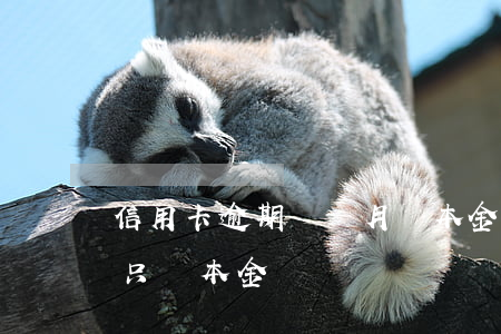 信用卡逾期幾個月還本金(欠信用卡逾期可以只還本金嗎)