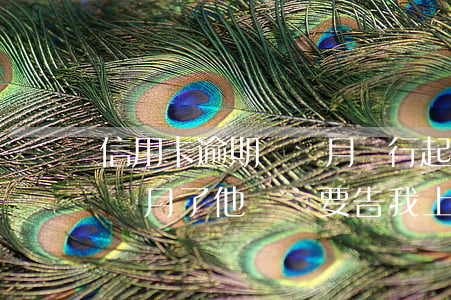 信用卡逾期幾個月銀行起訴(我信用卡逾期幾個月了他們說要告我上法院)