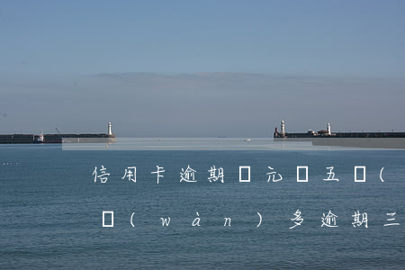信用卡逾期幾元錢五個(gè)月(信用卡5萬(wàn)多逾期三個(gè)月)