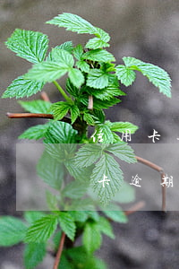 信用卡逾期幾十元為什么不到賬 幾十塊信用卡逾期