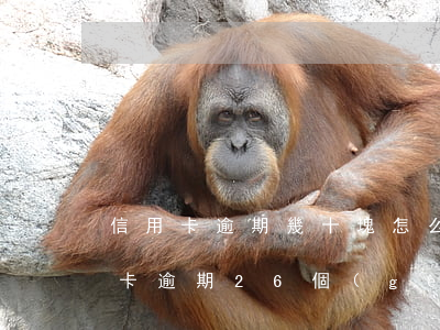 信用卡逾期幾十塊怎么辦(2000塊的信用卡 逾期26個(gè)月 怎么消)