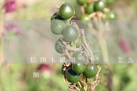 信用卡逾期幾十塊會怎么樣(幾塊錢信用卡逾期)