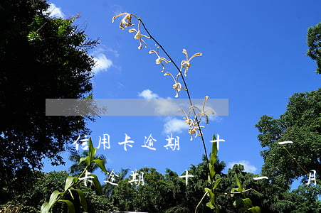 信用卡逾期幾十塊錢一個月有影響嗎-信用卡逾期幾十塊錢一個月有影響嗎知乎