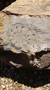 信用卡逾期幾十塊錢(信用卡逾期幾十塊錢6天)
