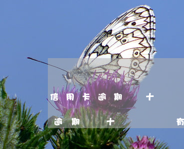信用卡逾期幾十塊錢會有什么影響-信用卡逾期幾十塊錢會有什么影響嗎