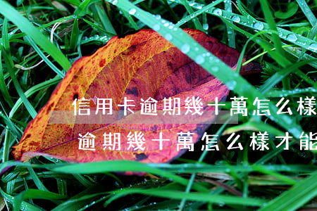 信用卡逾期幾十萬怎么樣才能上岸-信用卡逾期幾十萬怎么樣才能上岸呢