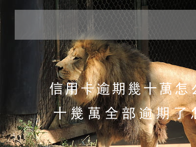 信用卡逾期幾十萬怎么處理(7張信用卡欠款十幾萬全部逾期了怎么辦)