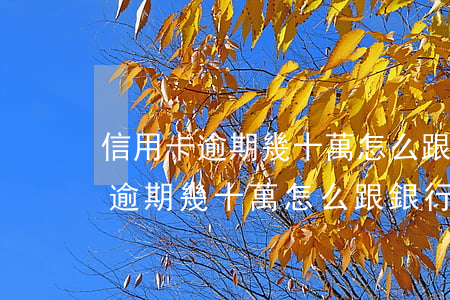 信用卡逾期幾十萬怎么跟銀行解釋-信用卡逾期幾十萬怎么跟銀行解釋呢
