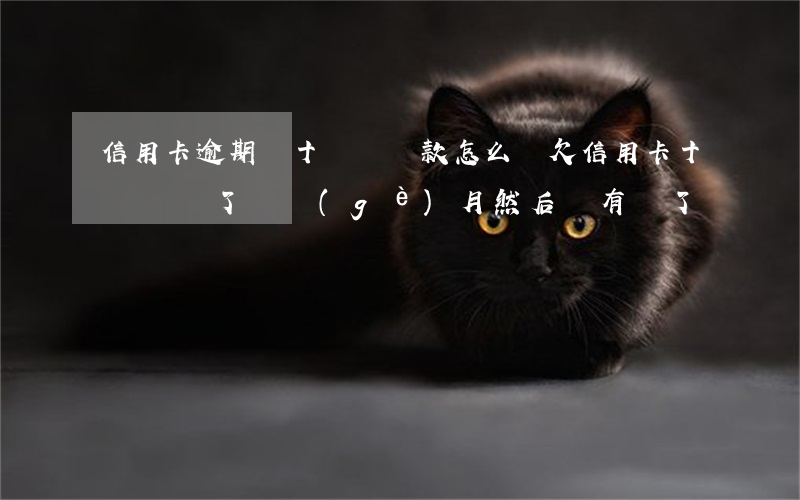 信用卡逾期幾十萬沒還款怎么辦(欠信用卡十幾萬還了幾個(gè)月然后沒有還了)