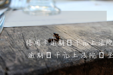 信用卡逾期幾千元上法院會坐牢嗎-信用卡逾期幾千元上法院會坐牢嗎知乎