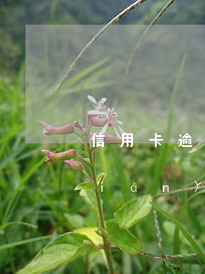 信用卡逾期幾千塊(信用卡逾期幾千塊錢(qián)會(huì)上門(mén)嗎)