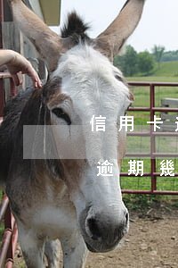 信用卡逾期幾千塊后果嚴重嗎貼吧-信用卡逾期幾千塊后果嚴重嗎貼吧